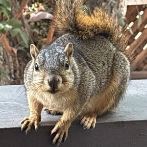 Meet your Posher, Sabrina